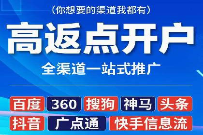 竞价端口开户全攻略，案例分析